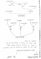 Regent By Atiqe SIR.pdf
